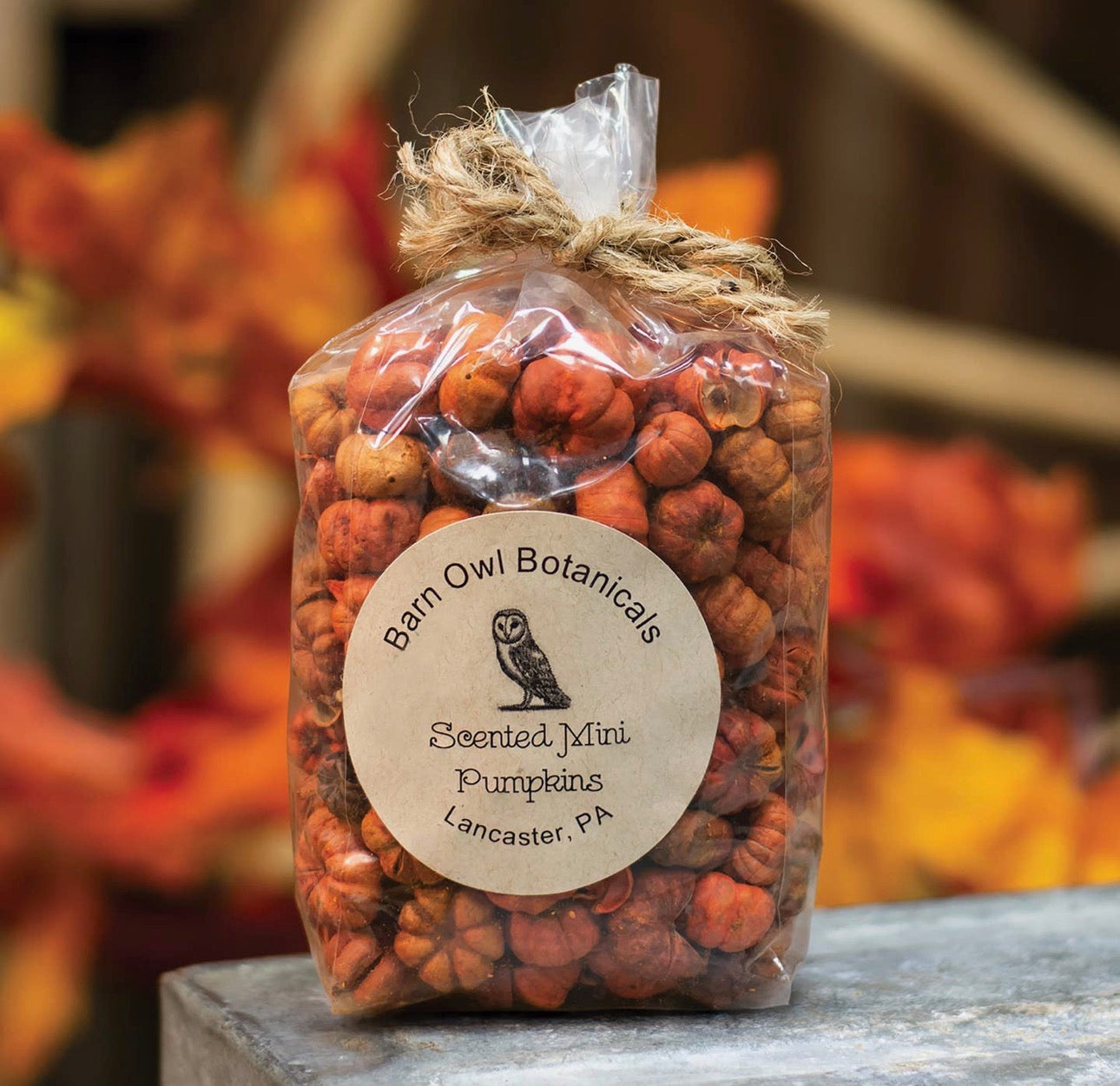 Harvest Spice Scented Mini Pumpkins