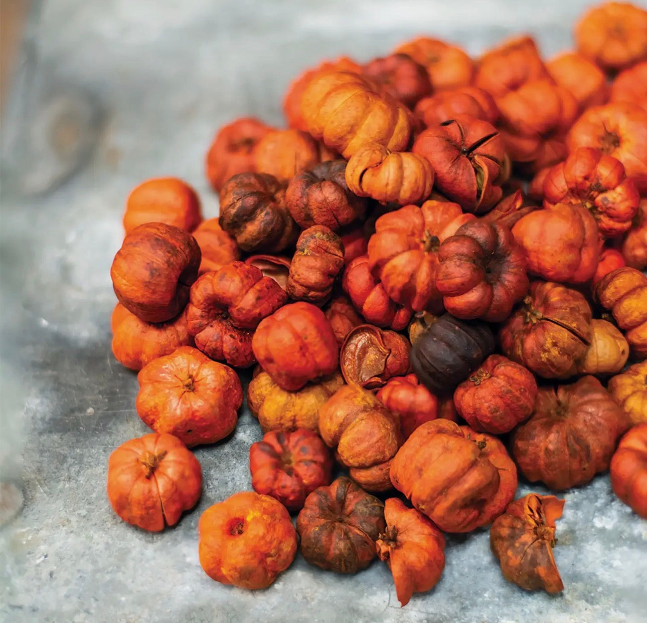 Harvest Spice Scented Mini Pumpkins