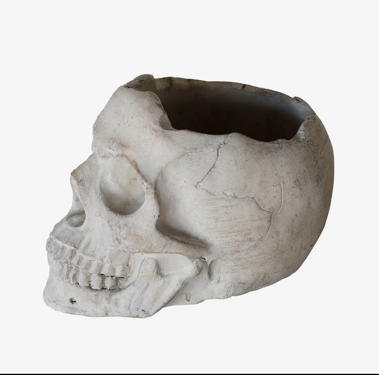 💀 Memento Mori Concrete Skull Planter – Large