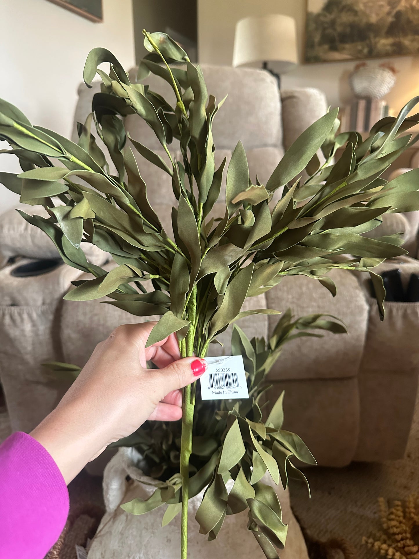 Olive Sage Herb Bush Stem