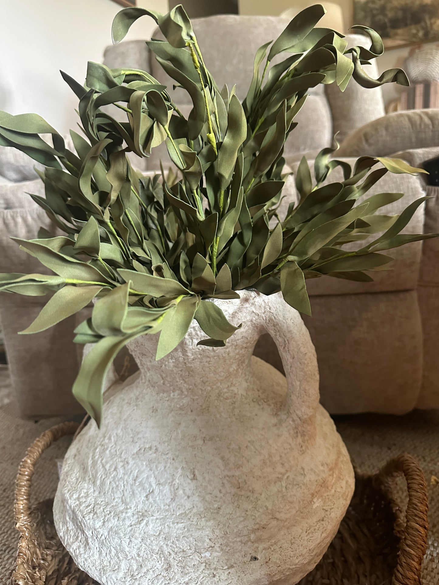 Olive Sage Herb Bush Stem