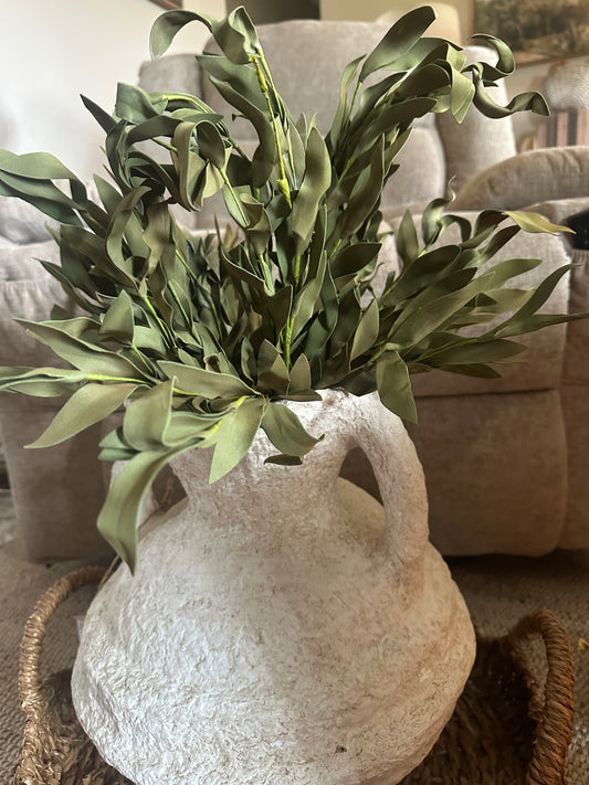 Olive Sage Herb Bush Stem