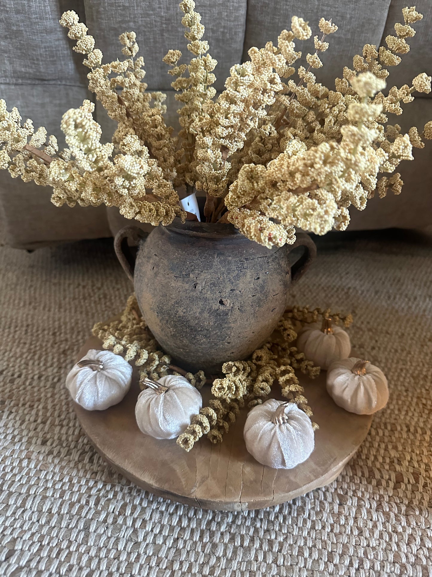 Golden Harvest Heather Bush