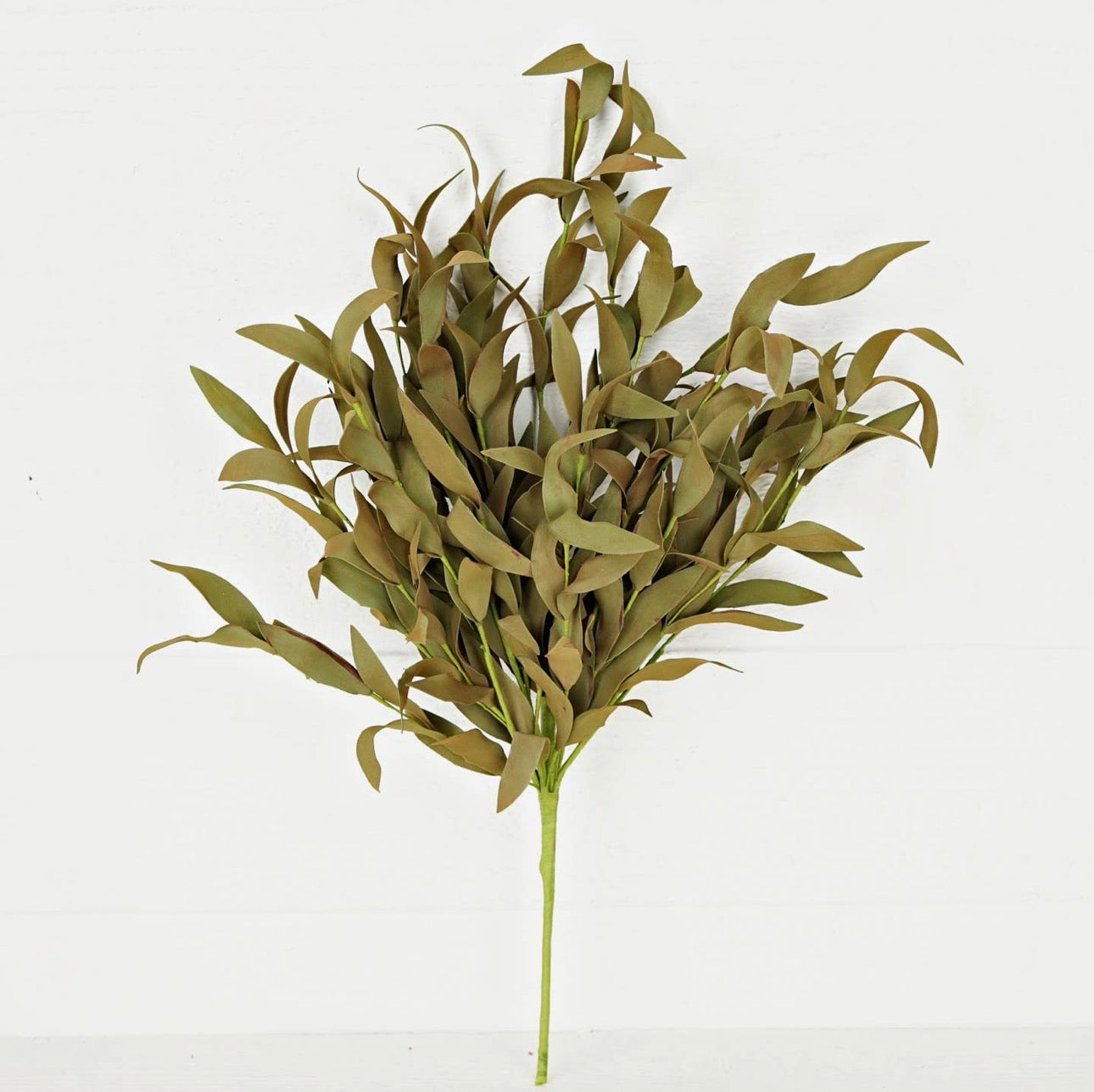 Olive Sage Herb Bush Stem
