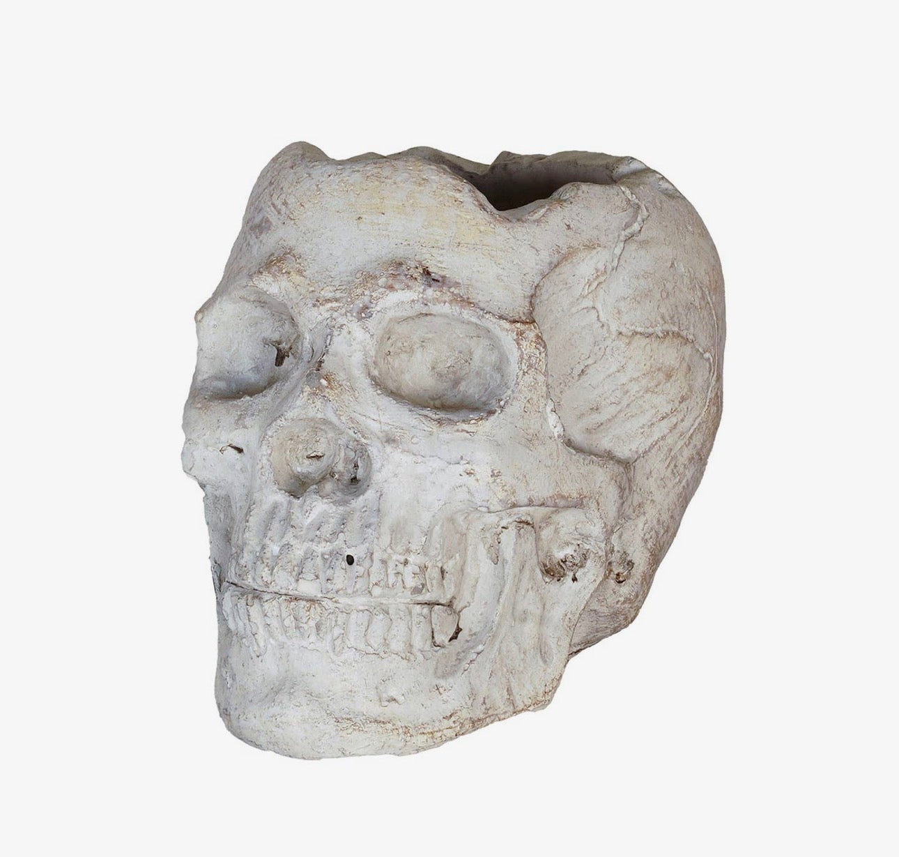 💀 Memento Mori Concrete Skull Planter – Large