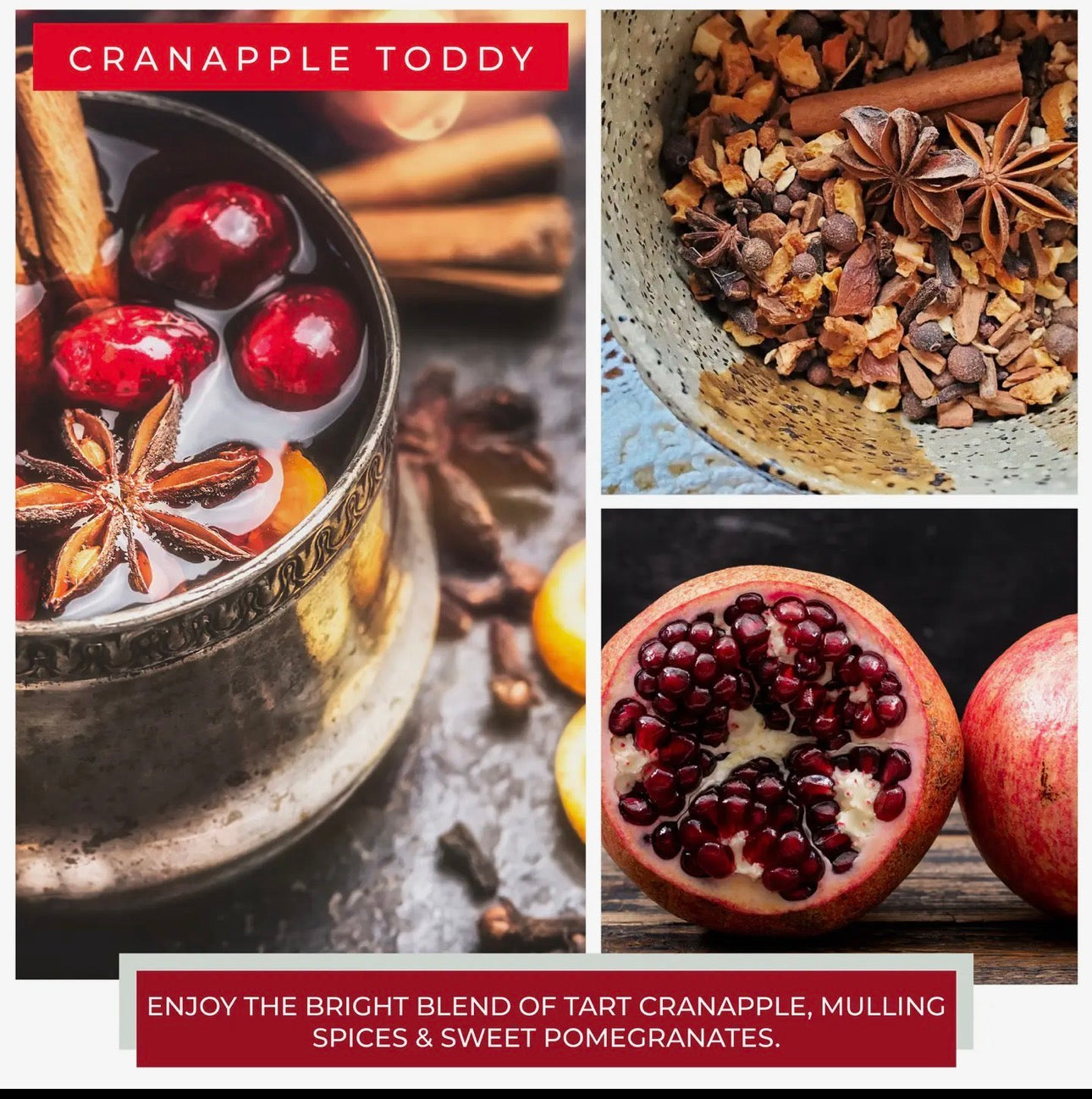 Harvest Cranapple Papa Jar Candle
