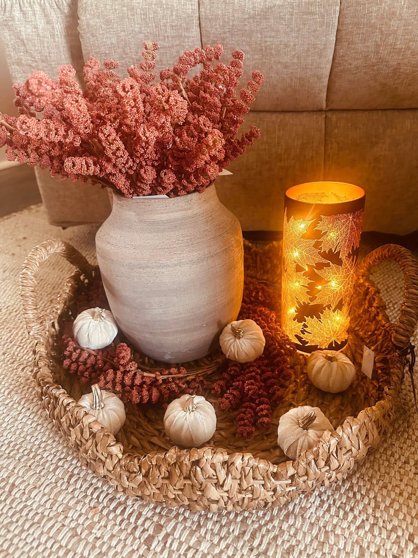Pumpkin Harvest Berry Bush