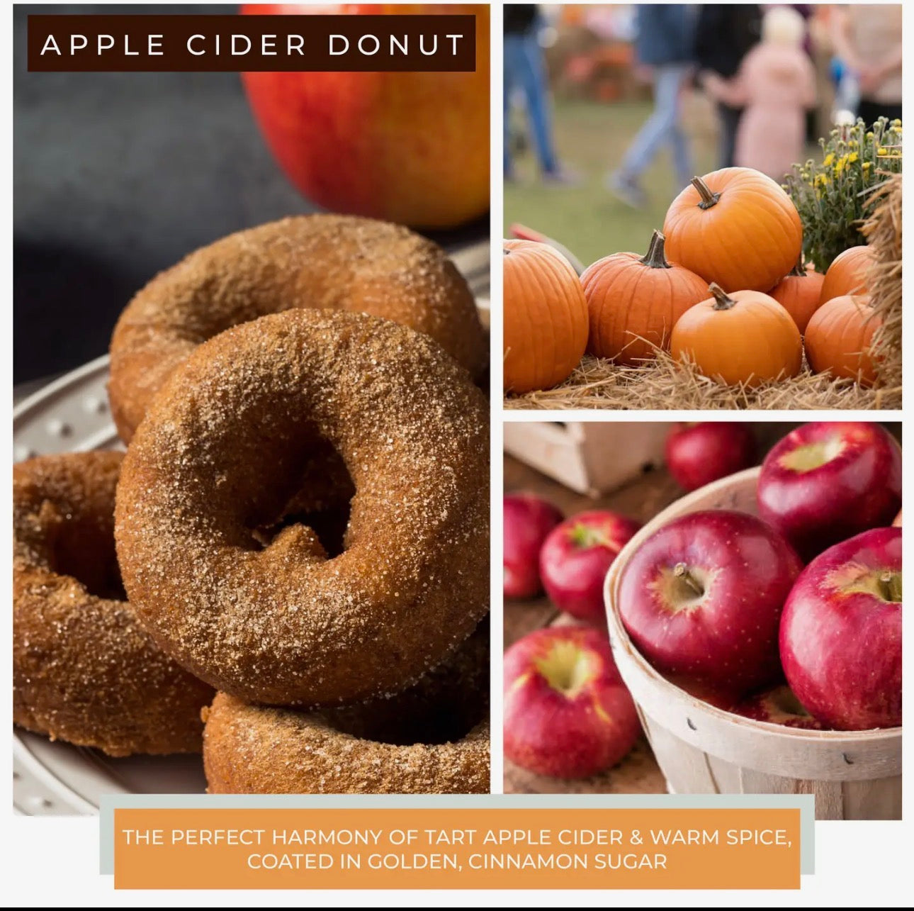 Apple Cider Donut Candle – 34 oz Double Wick